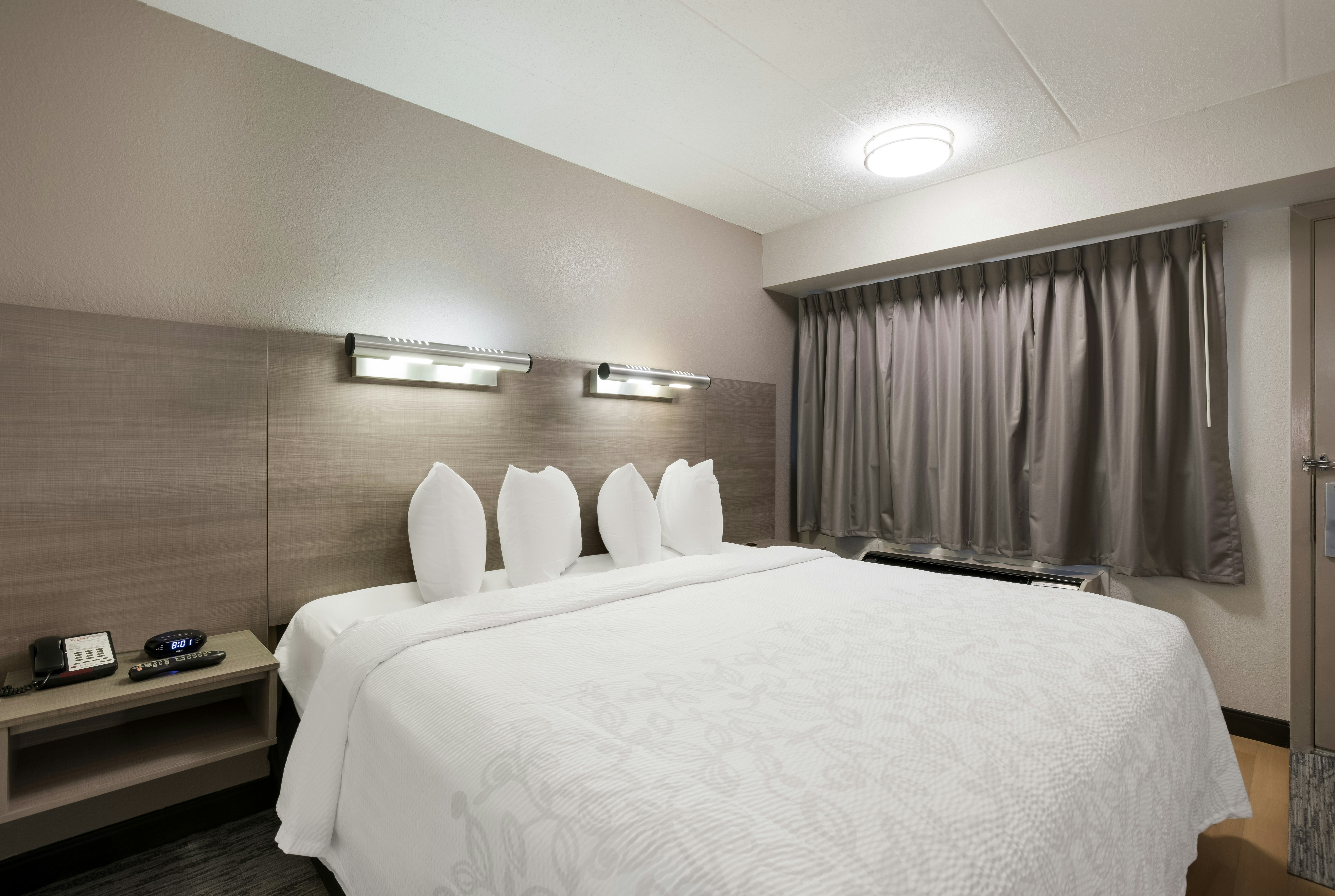 Non-Smoking Standard 1 King Bed(s)