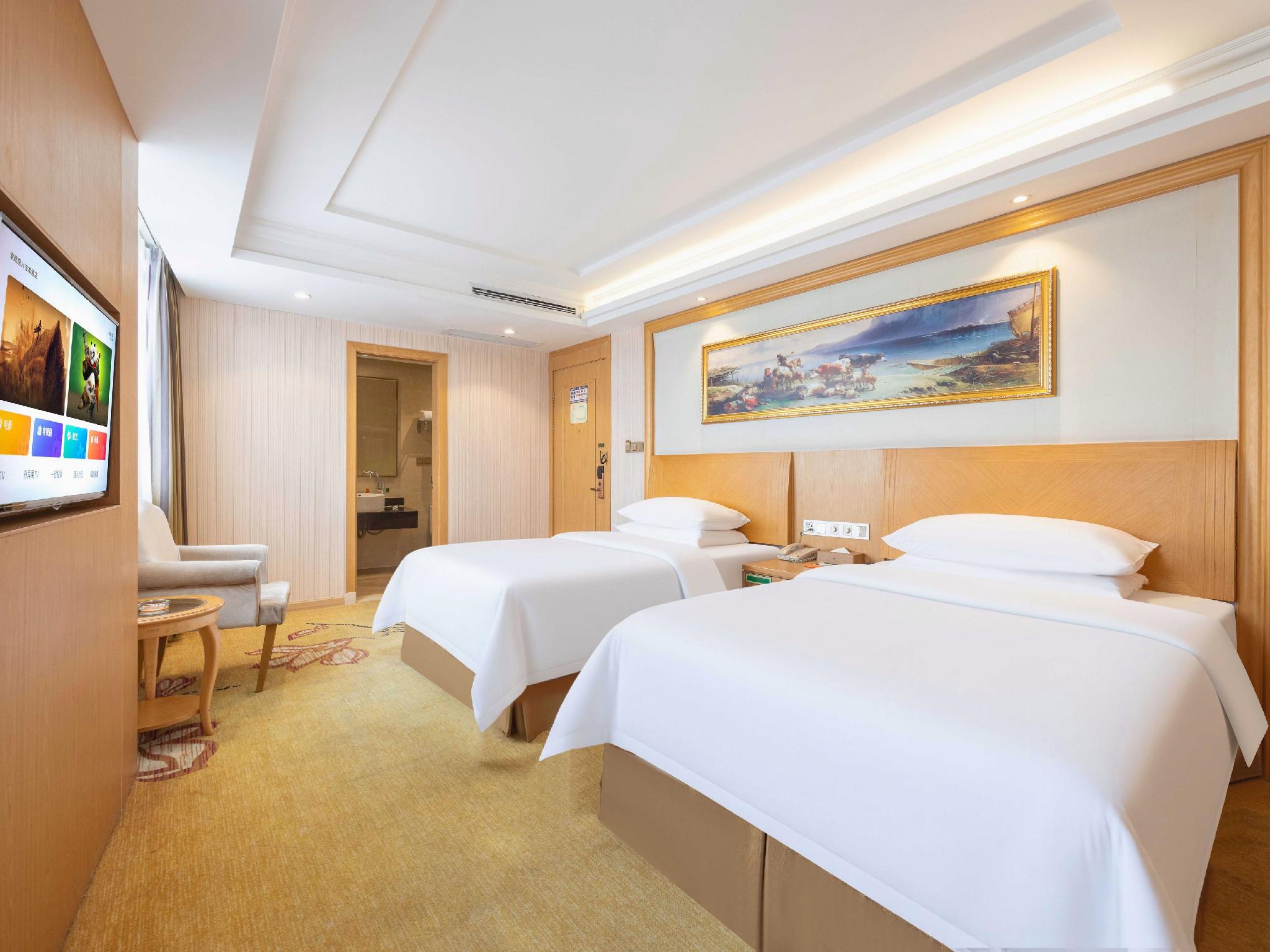 Vienna Hotel (Guangzhou Baiyun Airport Huadu Avenue) 30/58