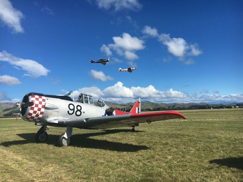 blenheim palms motel