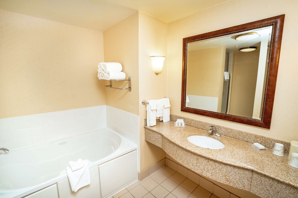 Hilton Garden Inn Ontario/Rancho Cucamonga 19/49