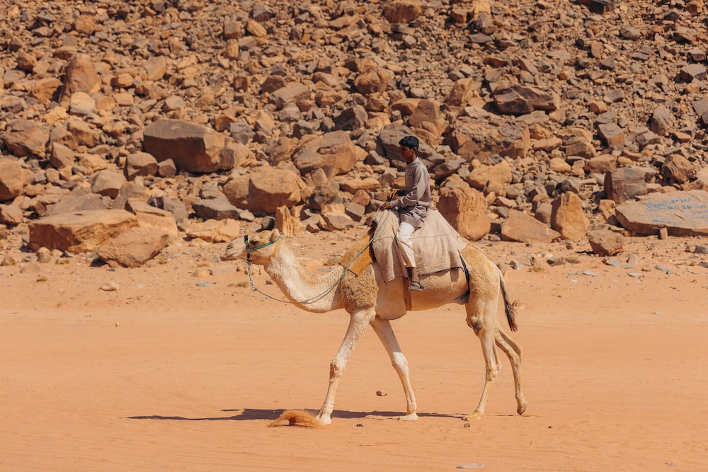 Magic Bedouin Star 45/50