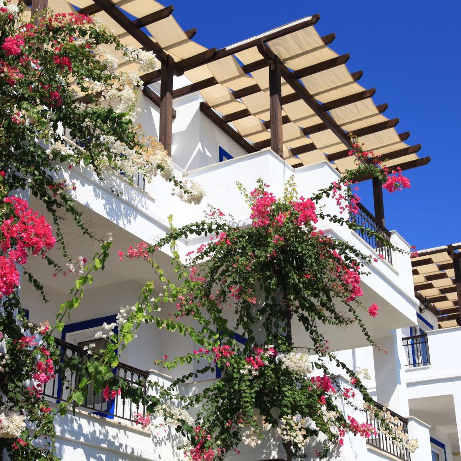 Aktur Residence 6/51