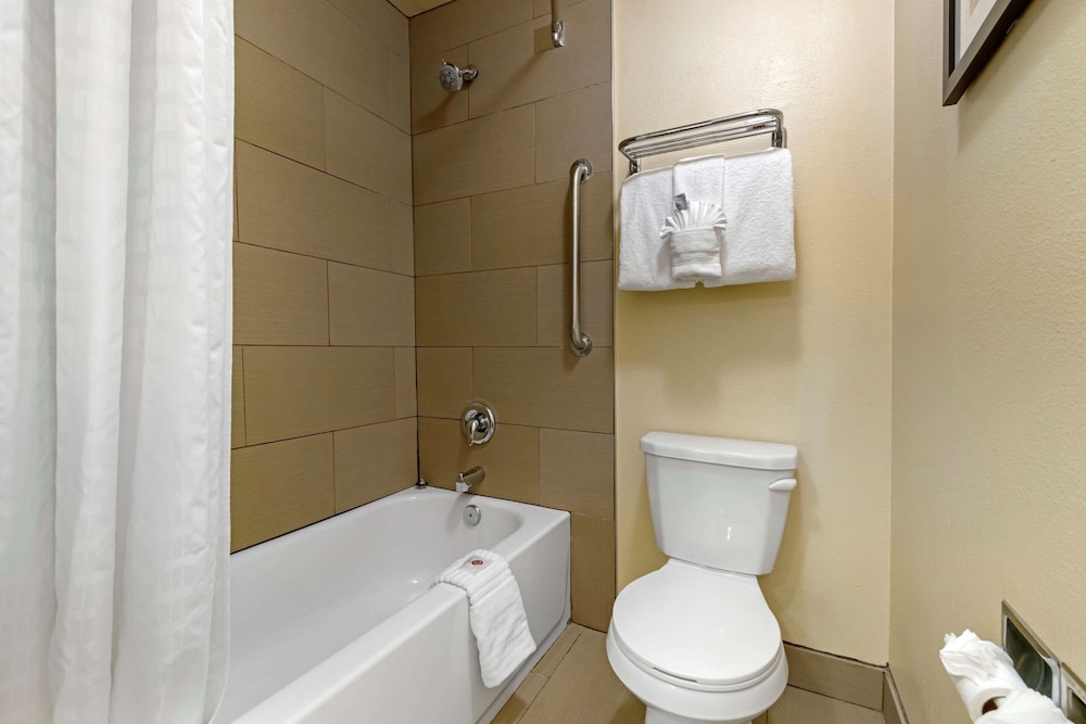 Comfort Inn Gaslamp Convention Center 12/37