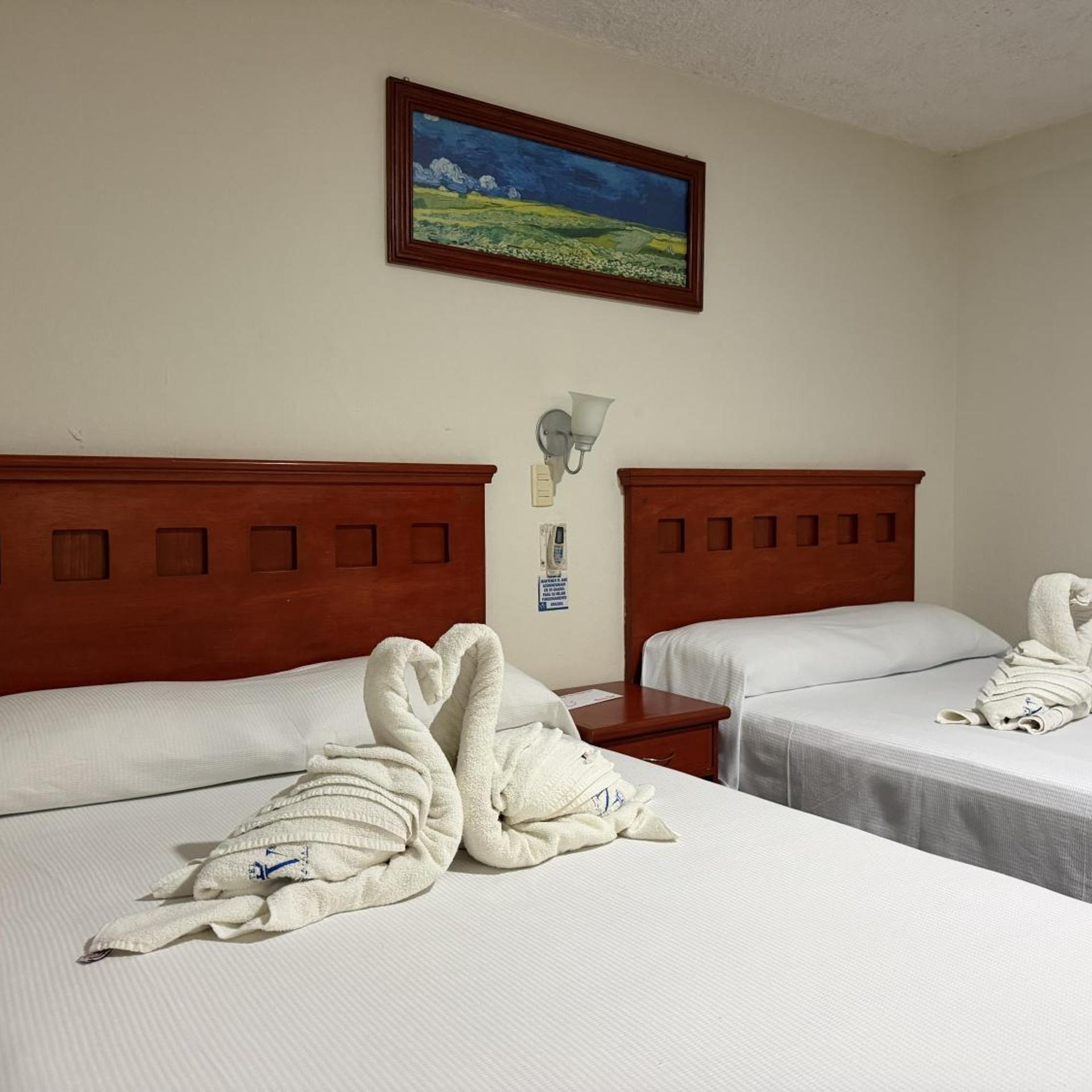 Hotel NV Guadalajara 10/52