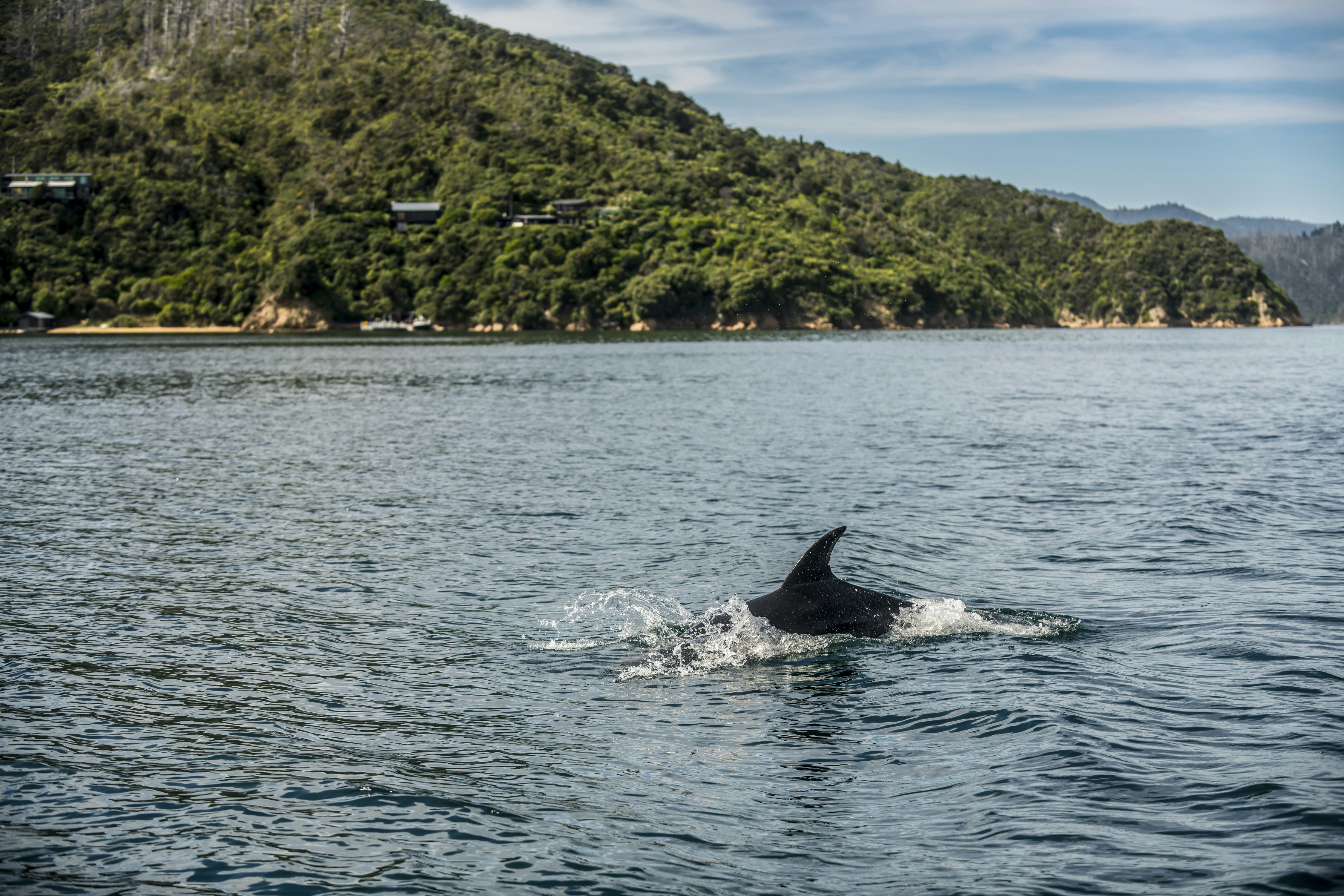 Bay of Many Coves Resort 54/57