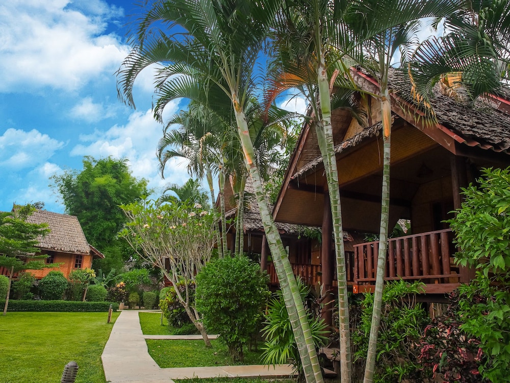 Pai Homey 24/28