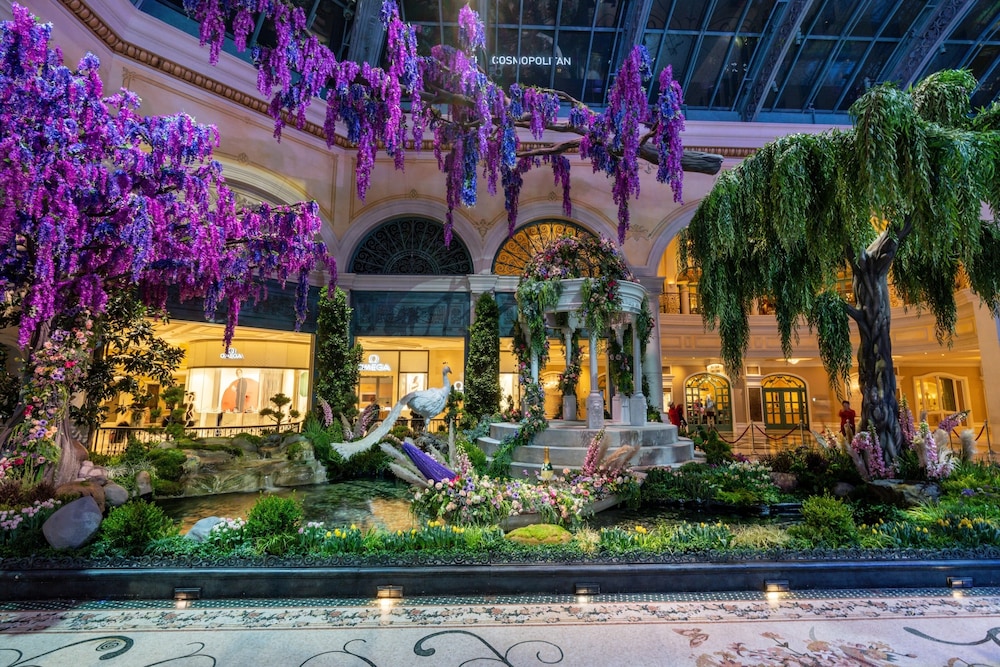 Bellagio in LAS VEGAS - NV