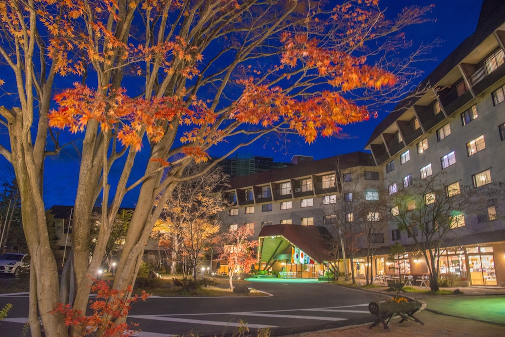 Kusatsu Now Resort Hotel 1/62