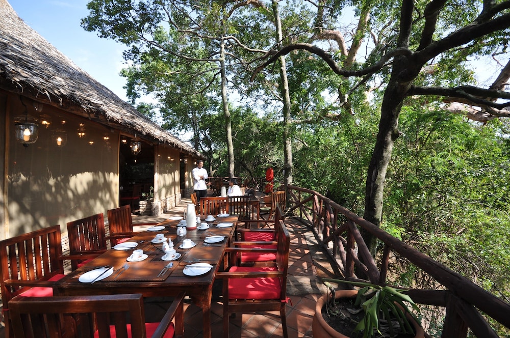 Fig Tree Camp 22/45