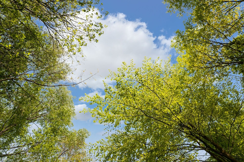 surroundings