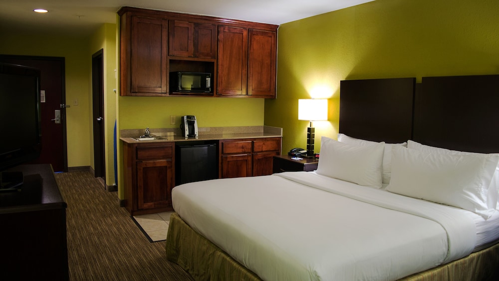 Holiday Inn Express & Suites Waller - Prairie View 19/54