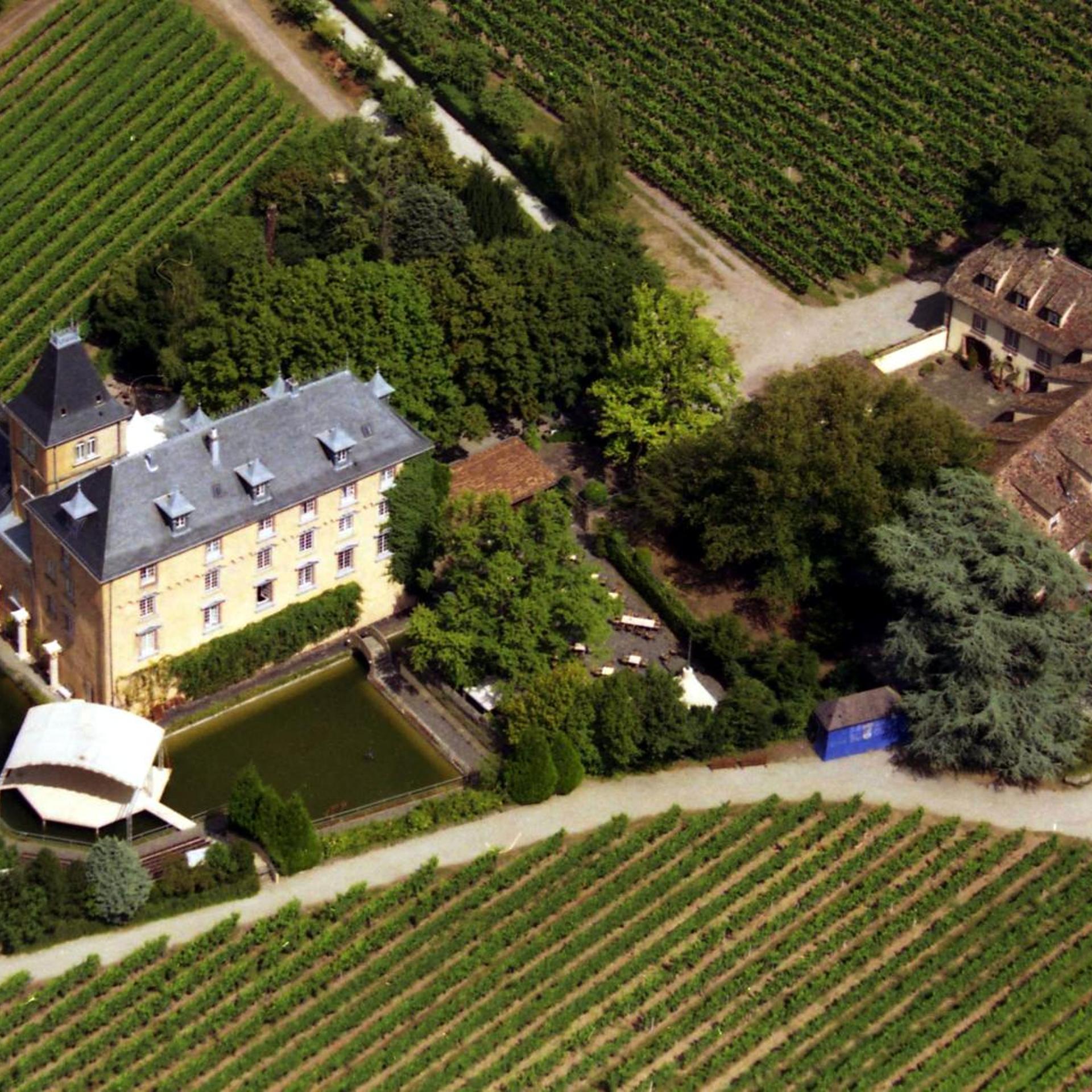 Hotel Schloss Edesheim 40/50