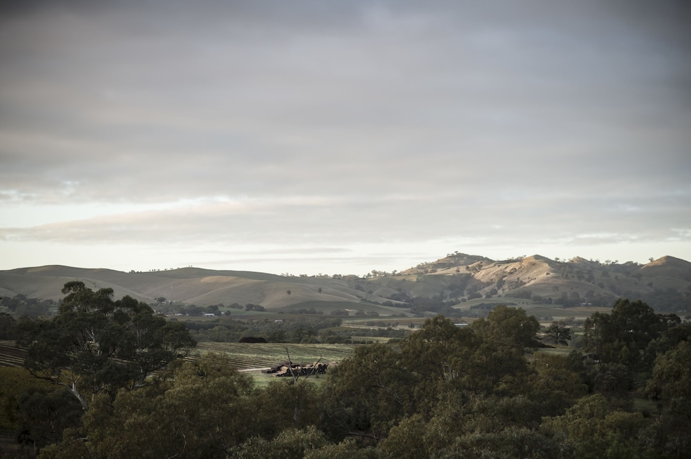 Novotel Barossa Valley Resort 66/69