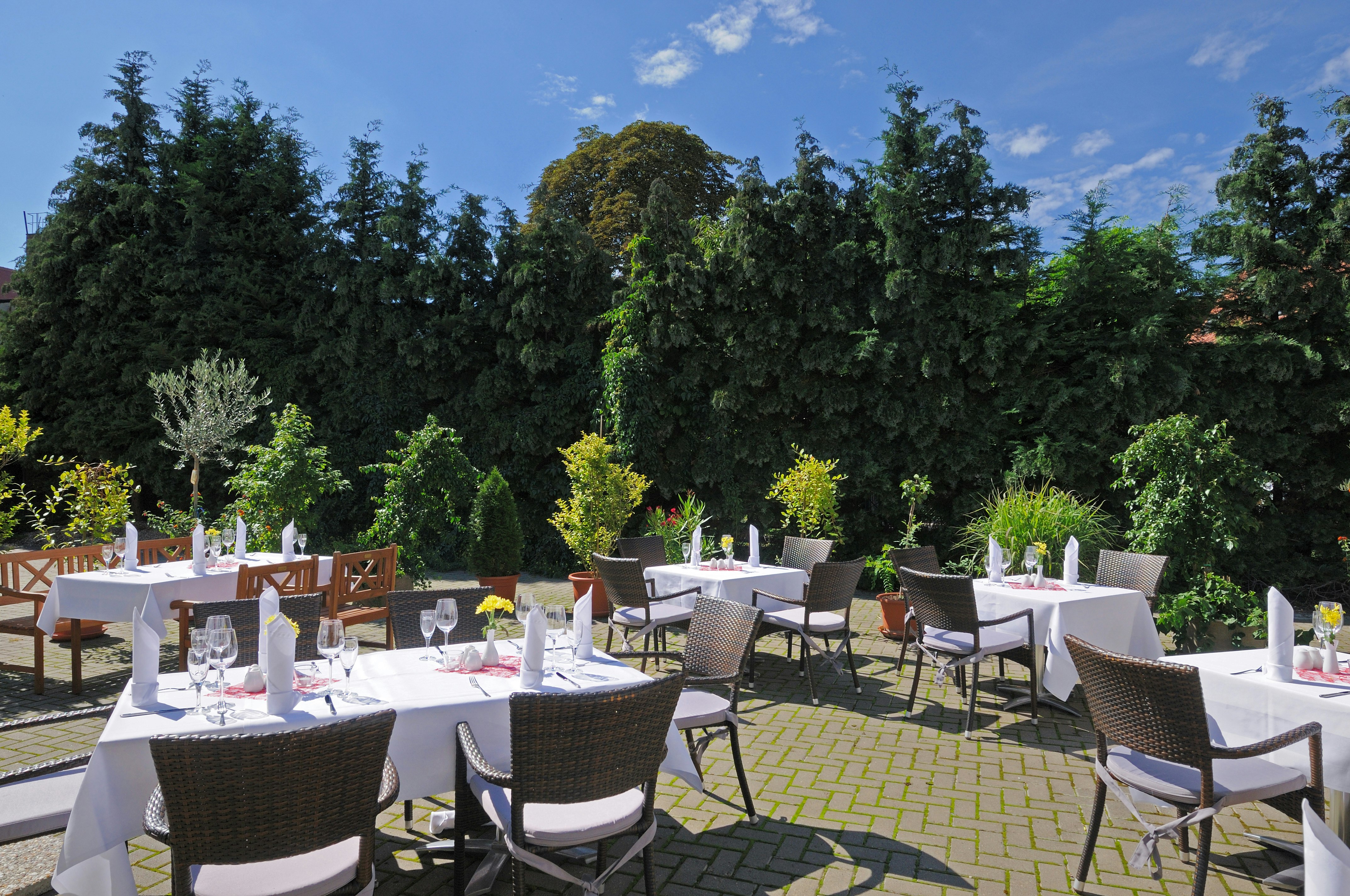 TOP martas Hotel Lutherstadt Wittenberg 8/13