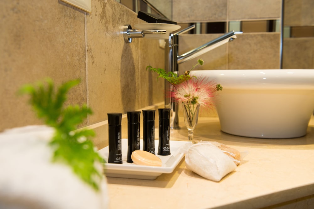 Falls Iguazu Hotel & Spa 7/67