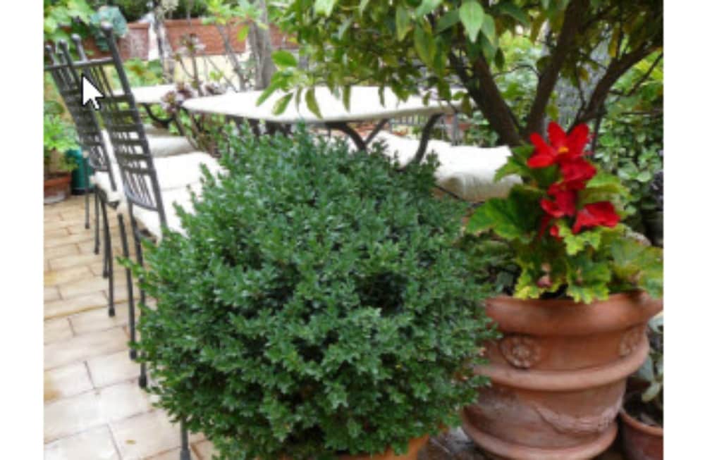 La Terrazza Dei Pelargoni B&B 26/44