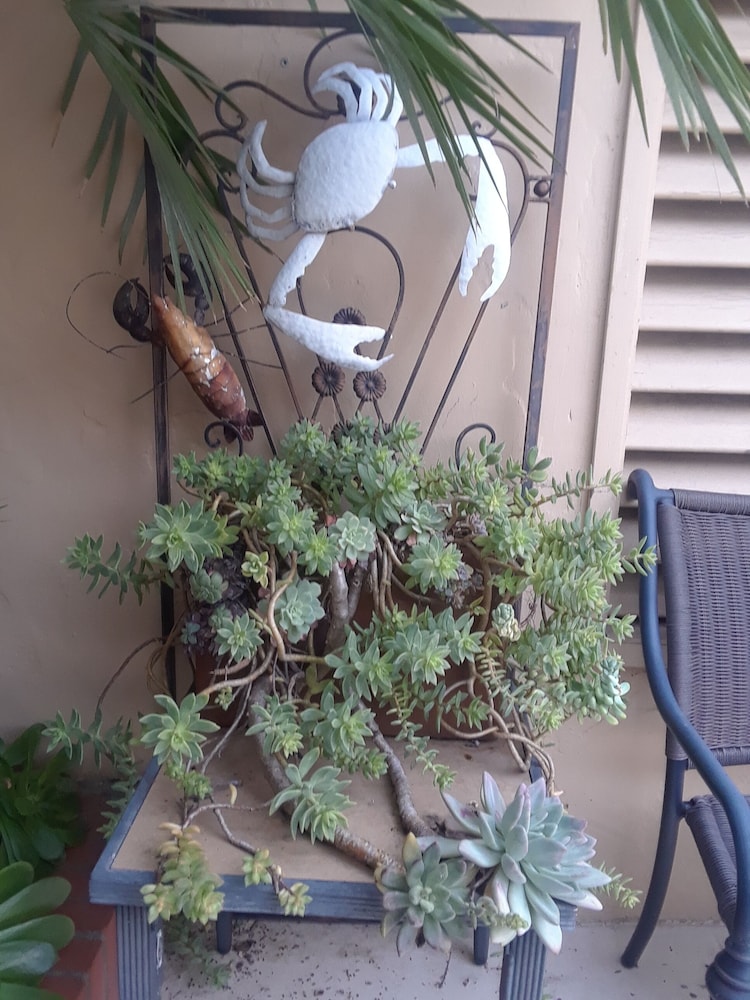 Los Gatos Garden Inn Hotel 46/50
