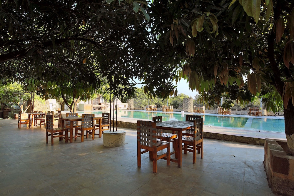 Gir Lion's Paw Resort 25/35