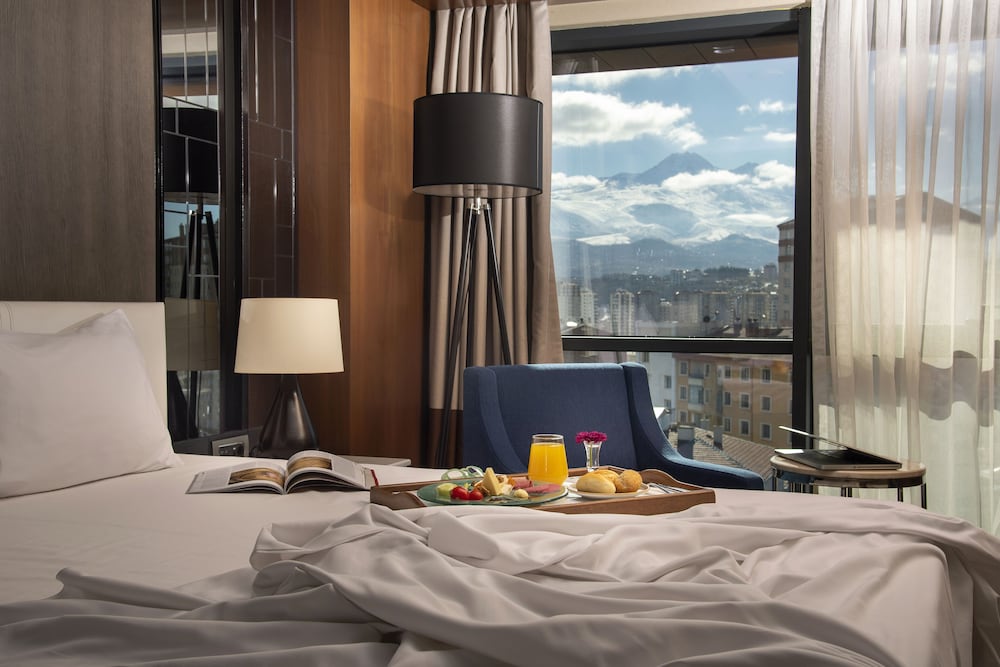HOLIDAY INN KAYSERI - DUVENONU 26/62