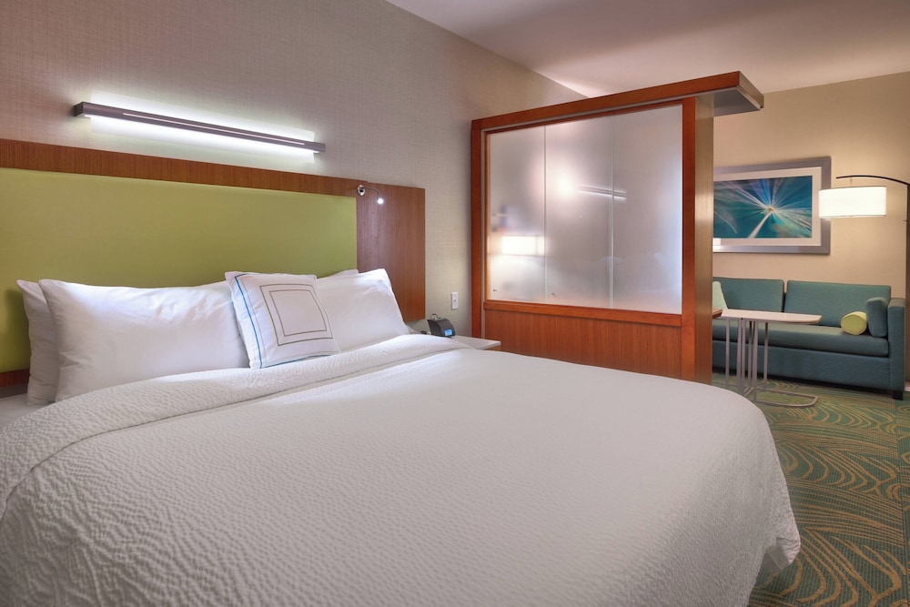 Room at Spring Hill Suites By Marriott Coeur D Alene, COEUR D ALENE - ID