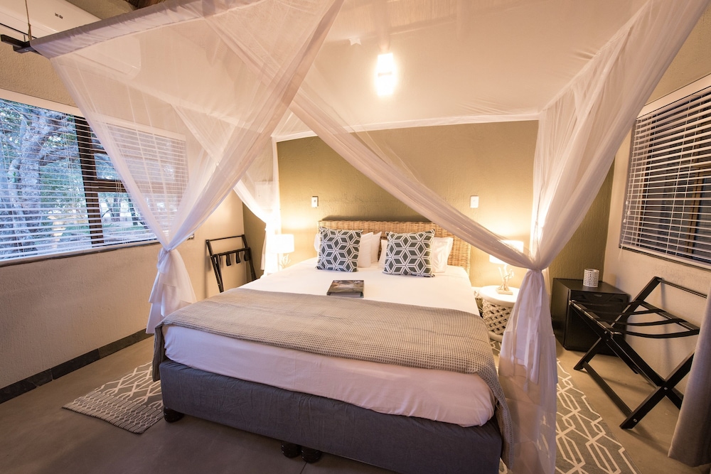 Bushbaby River Lodge 16/59