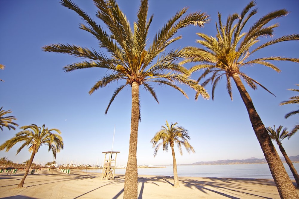 Mll Palma Bay Club Resort 25/37