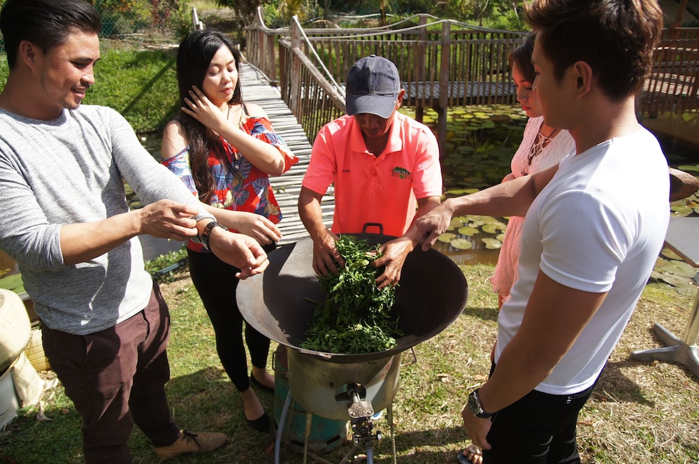 Sabah Tea Garden 56/70