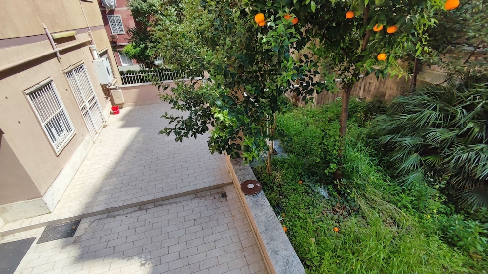 Vatican Green Garden 33/50