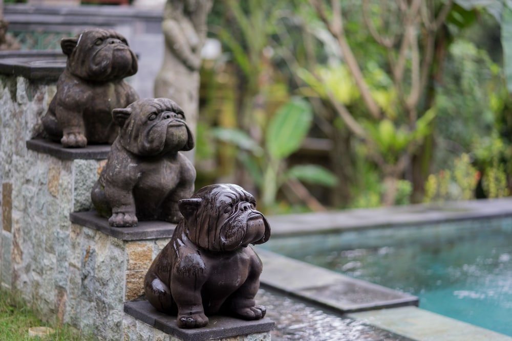 Ketut's Place Dajane Ubud 56/62