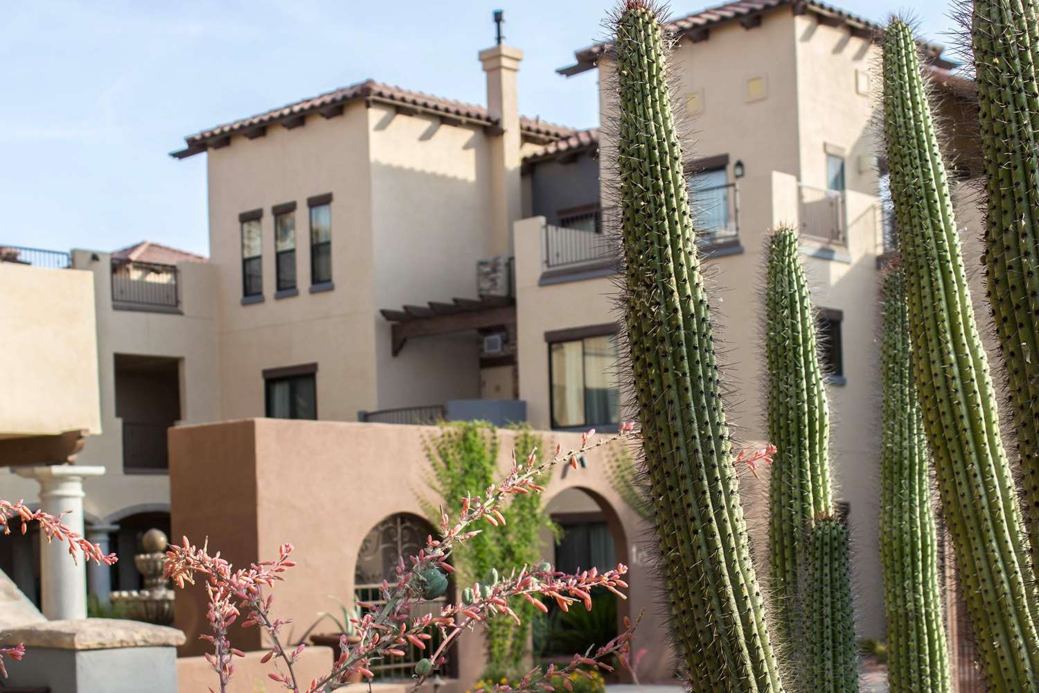 Bluegreen Vacations Cibola Vista Resort and Spa, an Ascend Collection Resort 5/49