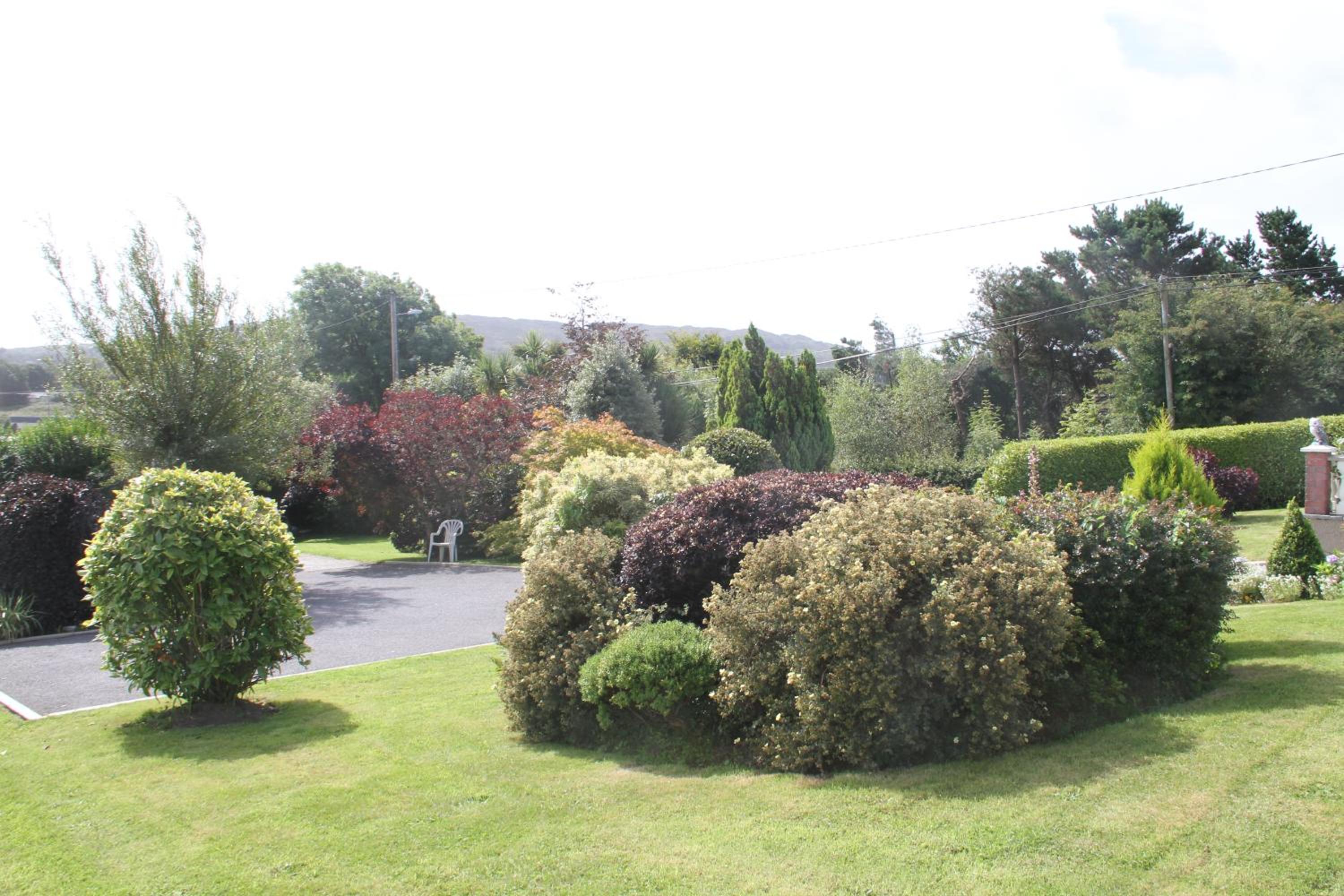 Marguerites B&B 16/21