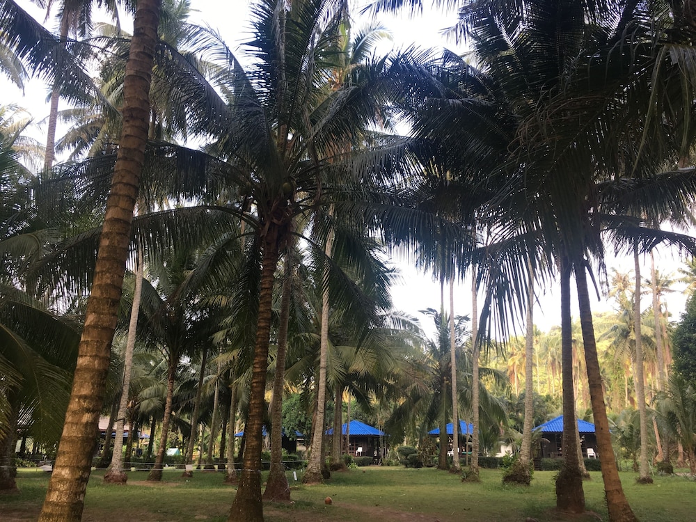Koh kood Neverland Beach Resort 32/40