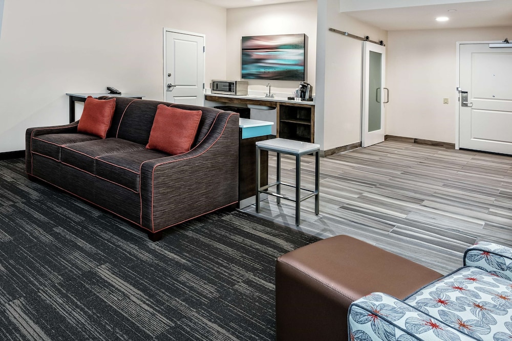 Hilton Garden Inn San Marcos 31/67
