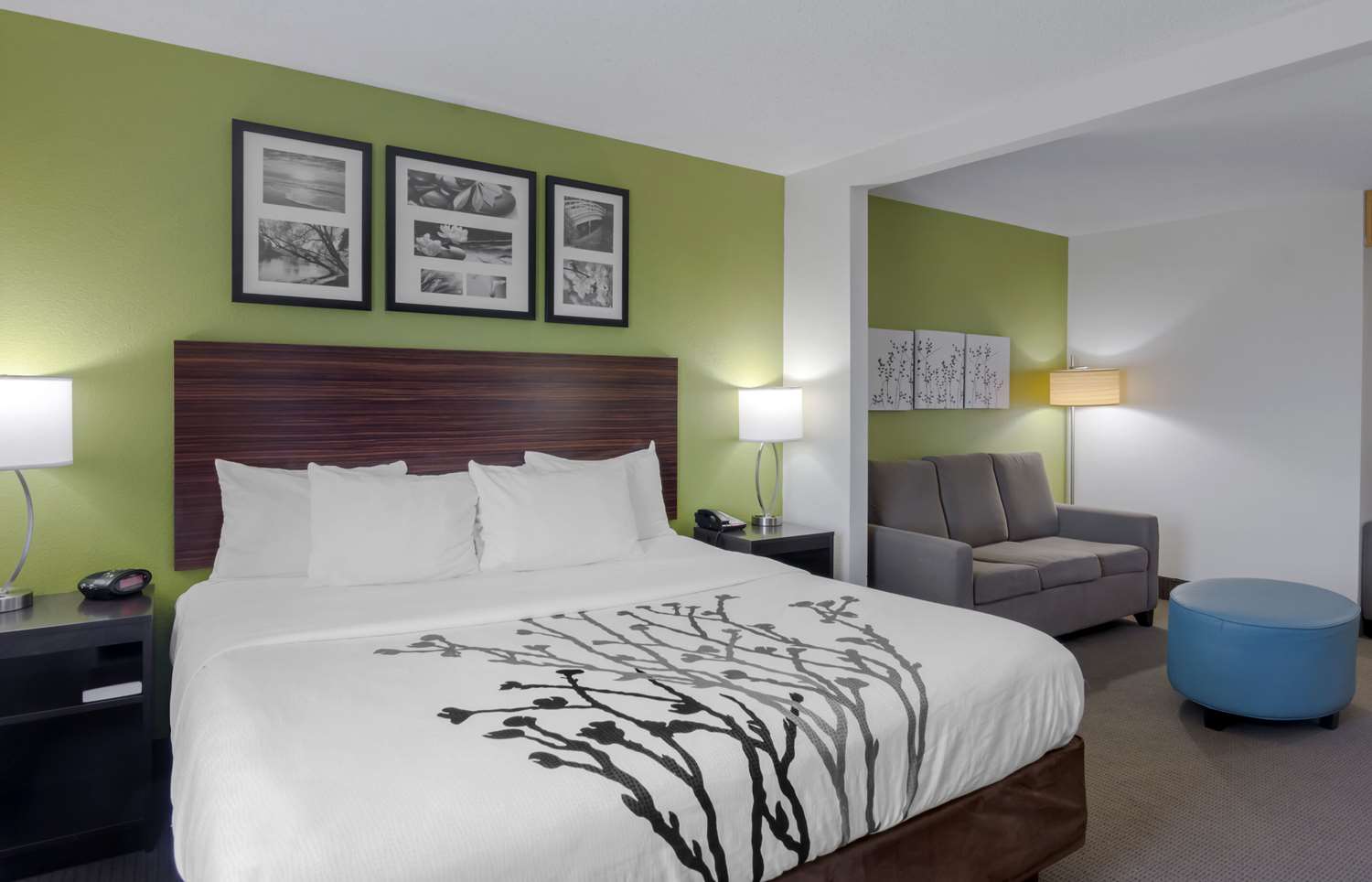 Suite, King Bed
