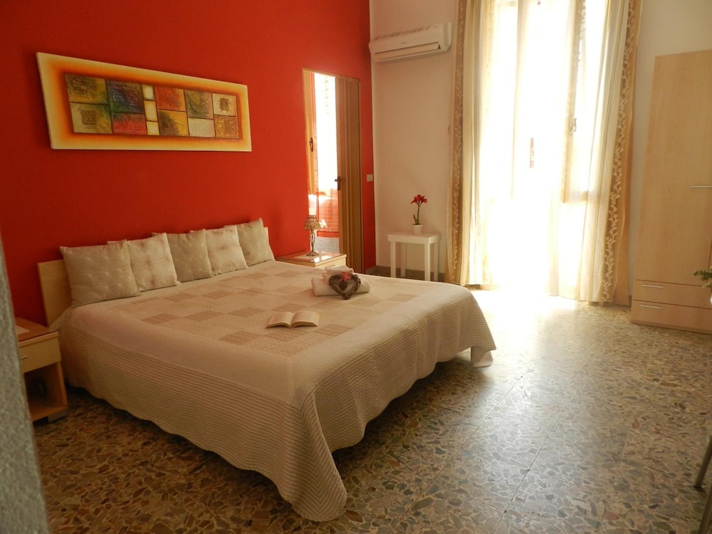 B&B Actinia 8/41