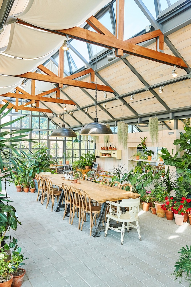 Eden Paradise Hotel 8/63