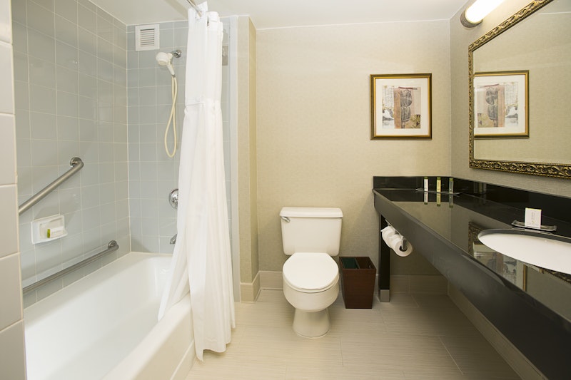 Doubletree By Hilton Detroit Novi 74/74