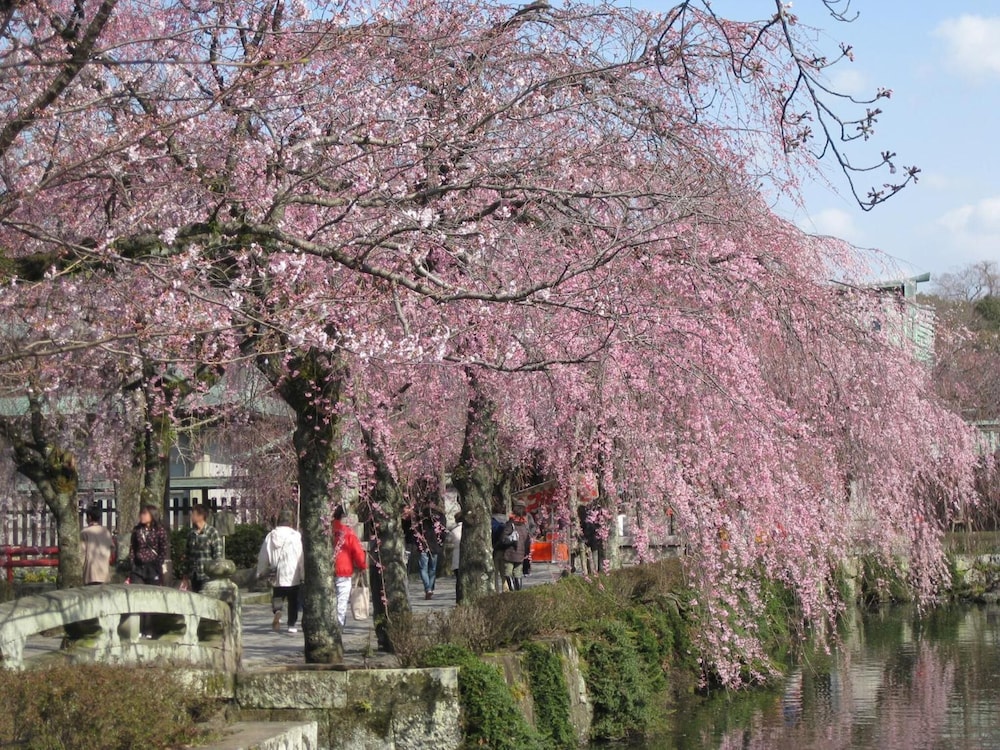 Izu Hatake Onsen Daisenya 30/34