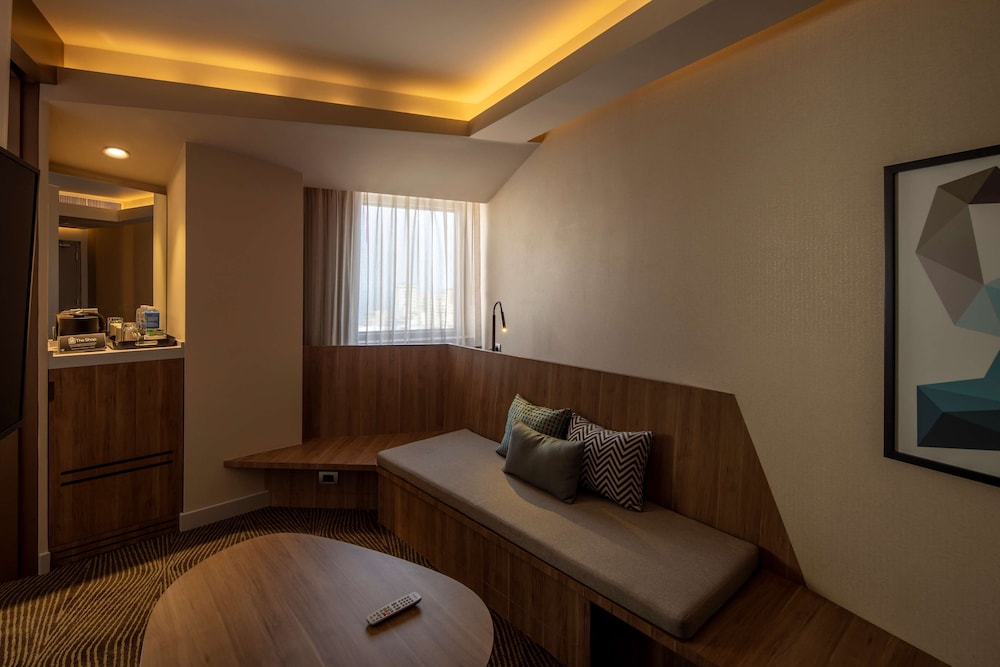 Hilton Garden Inn Lima Miraflores 29/70