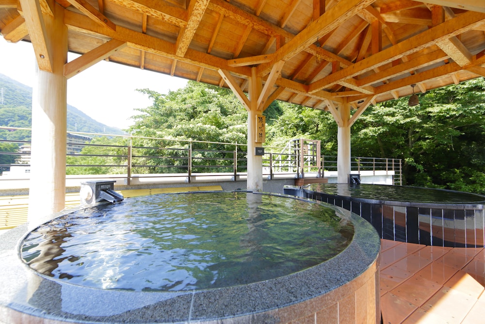 Hakone Yumoto Onsen Tenseien 31/50
