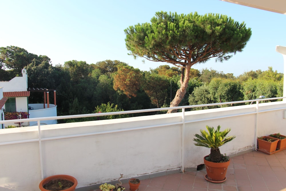 Villa Cecilia 5/50