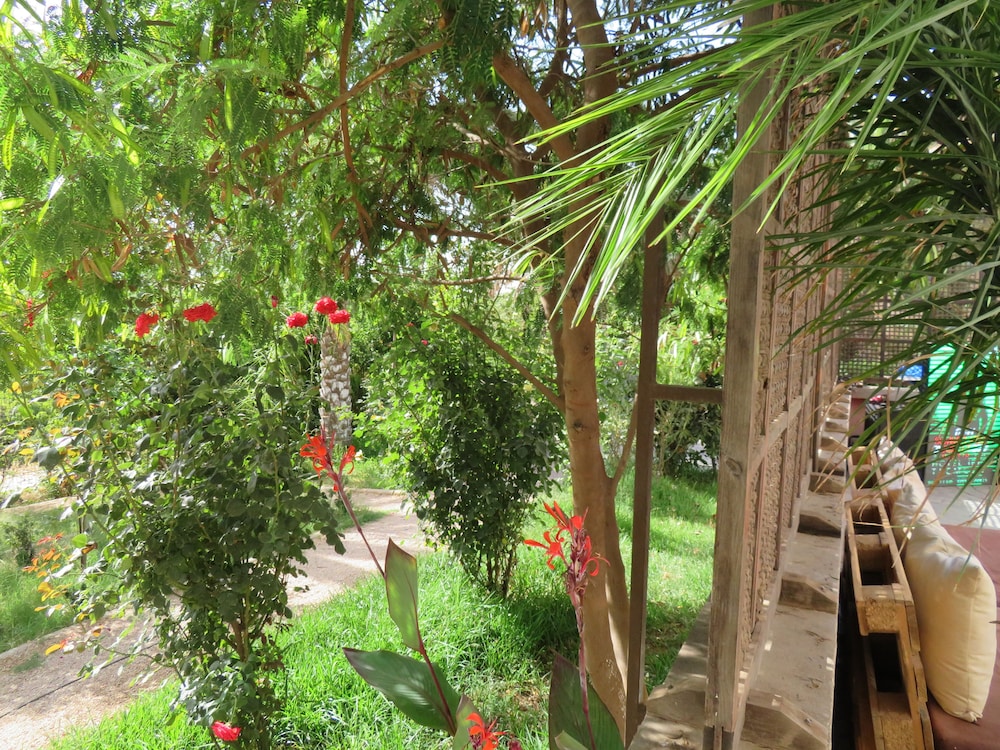 Ibis Tlemcen 47/50