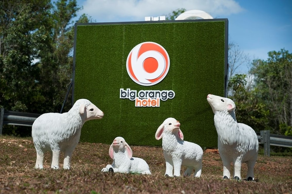 Big Orange Hotel 27/28
