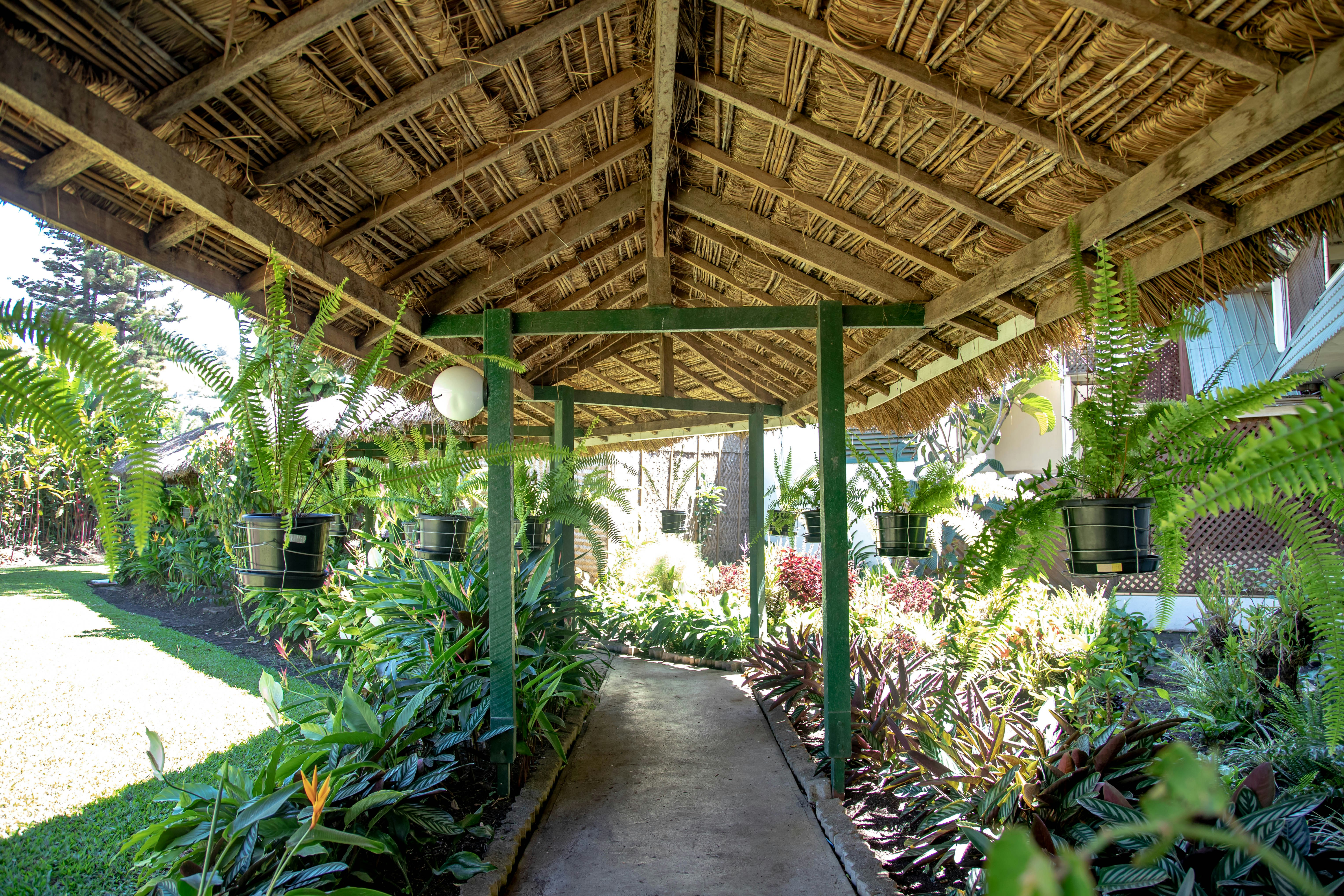 Bird of Paradise Hotel and Apartments 47/51