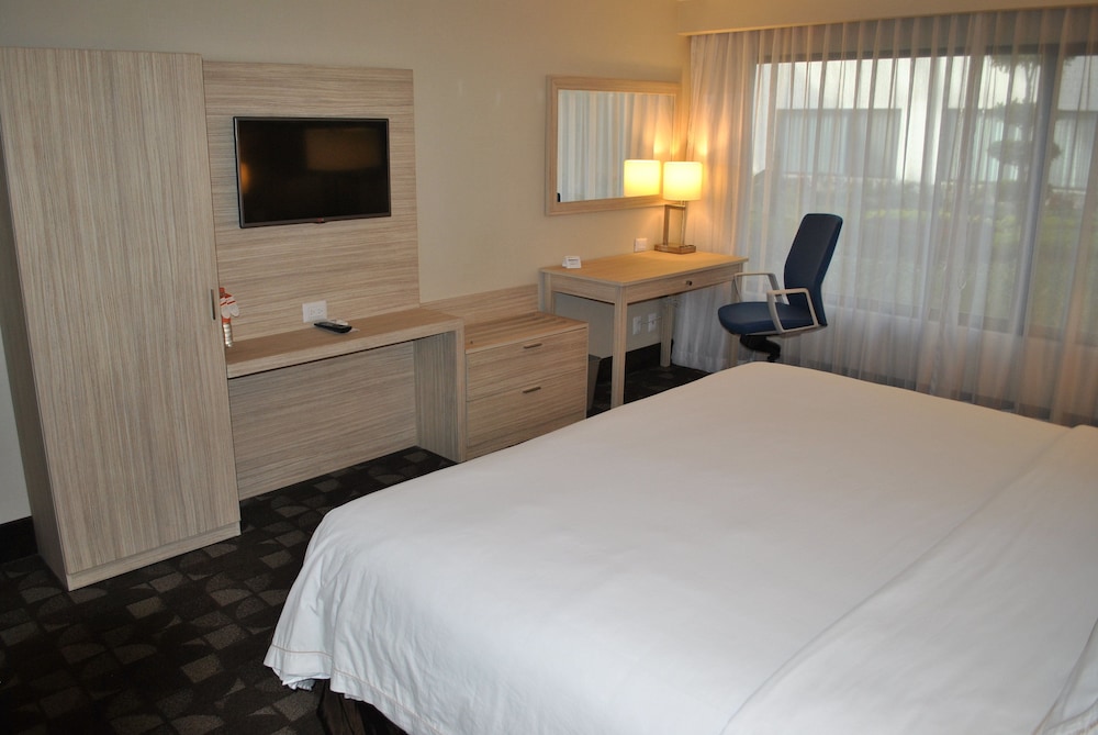 Holiday Inn Express Toluca 13/48