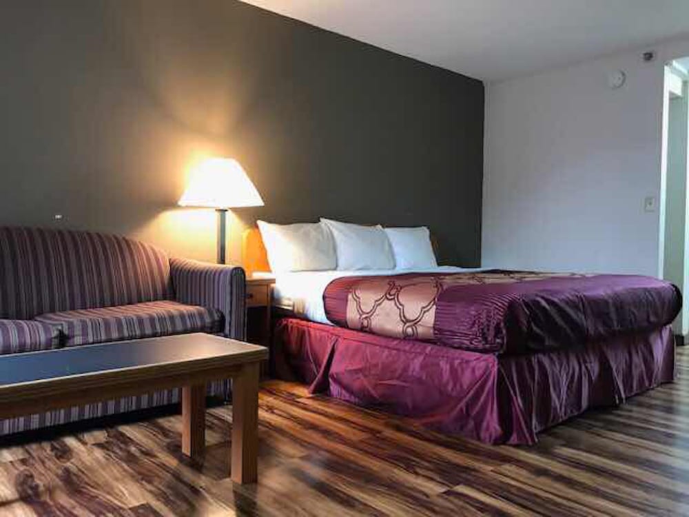 Bear Mount Inn And Suites 30/40