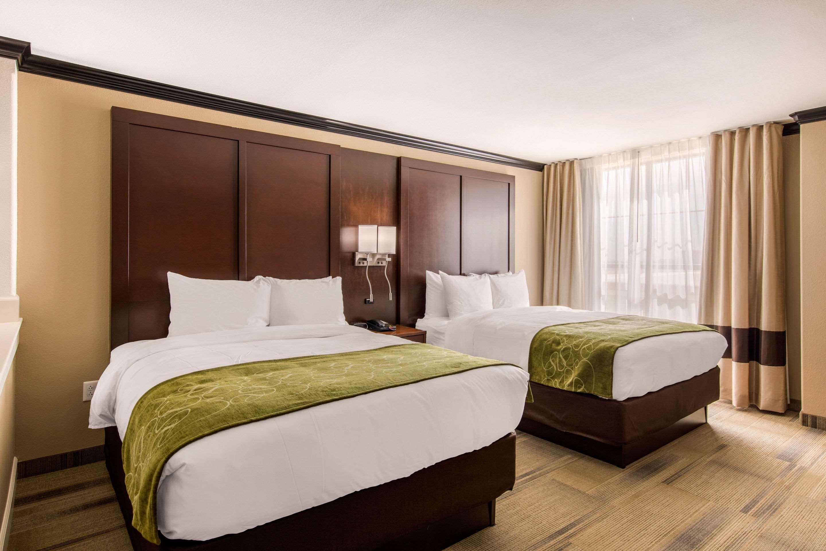 Suite, 2 Queen Beds