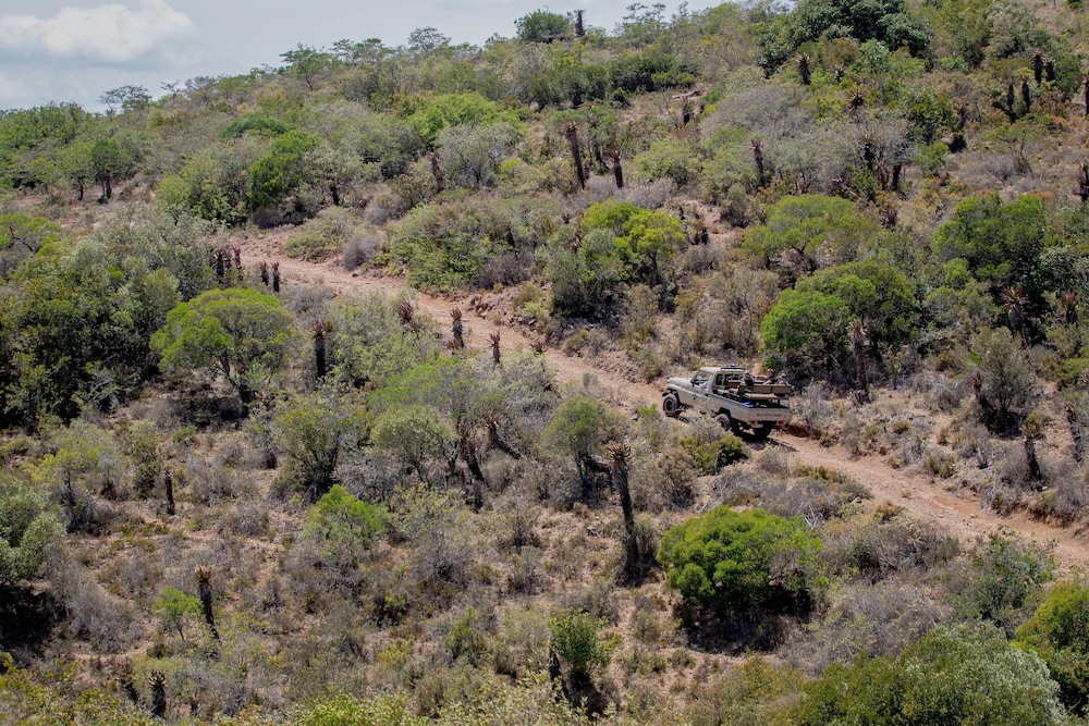 The Ranch House at African Safari Lodge 40/50
