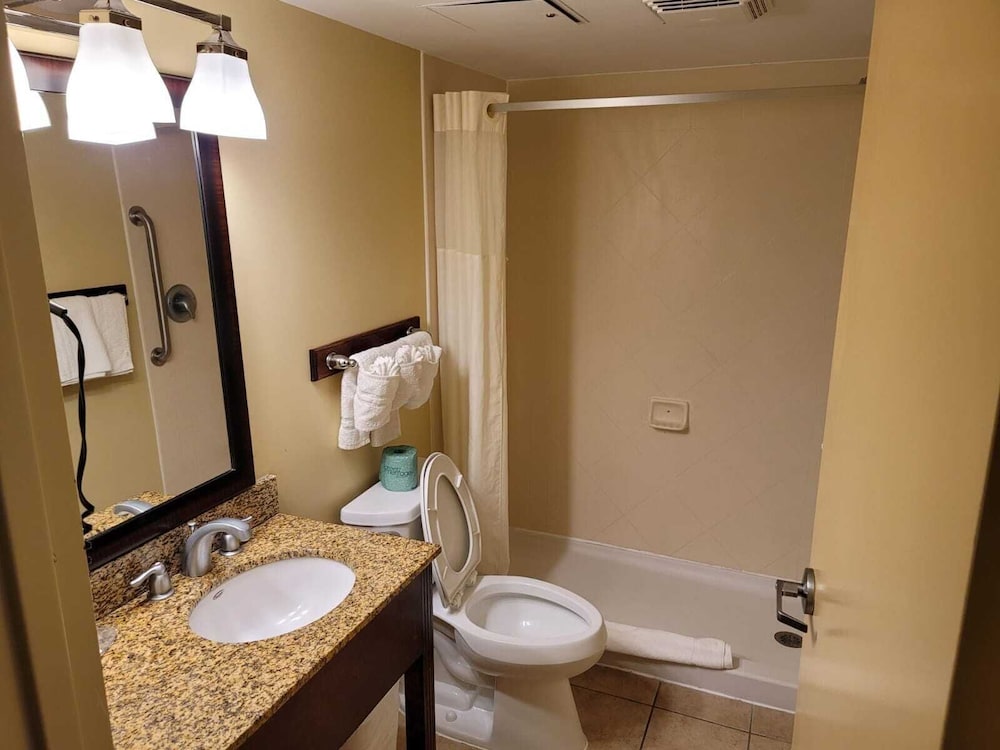 Quality Inn Flamingo 19/40