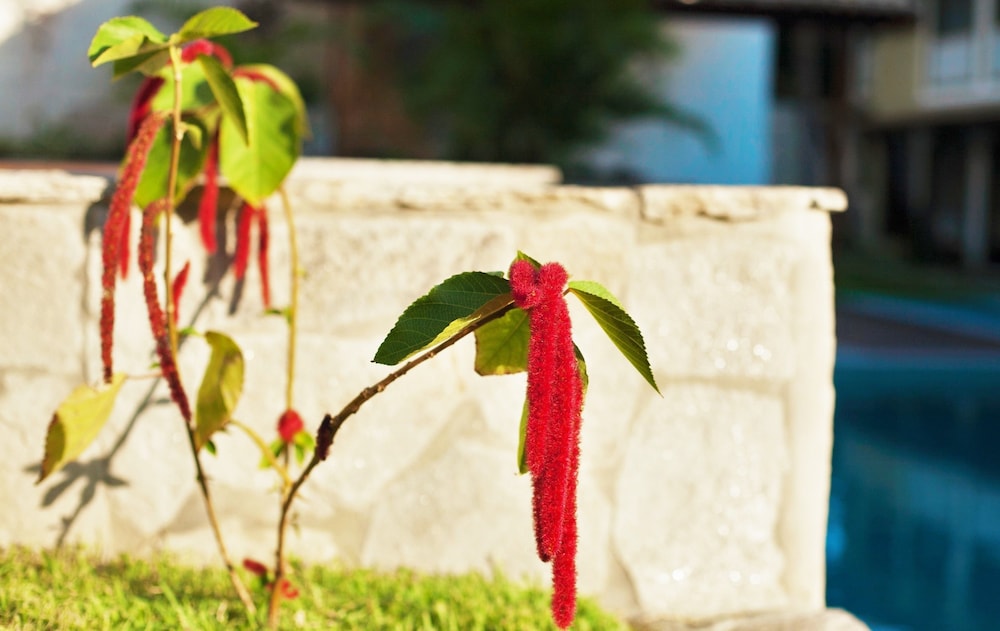 Flor Da Mata Apart Hotel 32/67